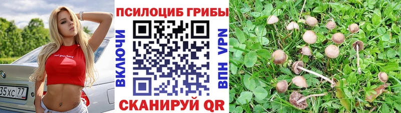 Галлюциногенные грибы GOLDEN TEACHER Электроугли